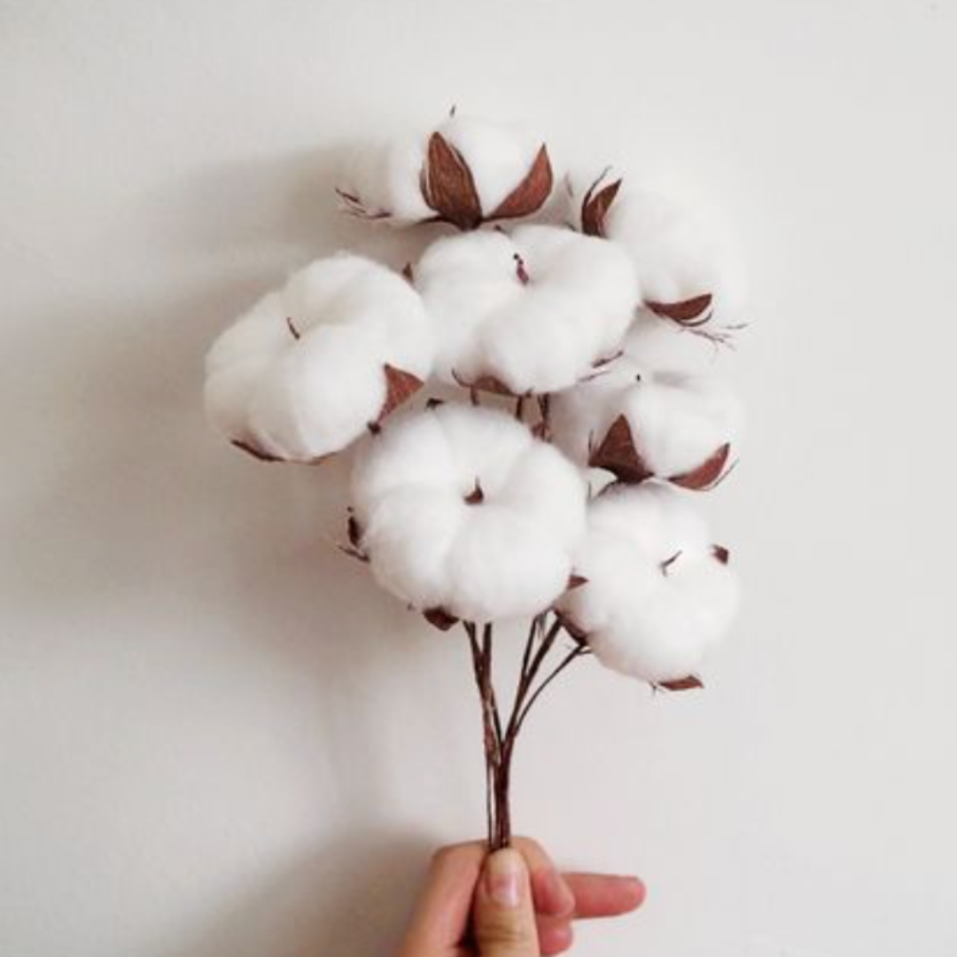 Taie d’oreiller en Soie VS taie d’oreiller en Coton