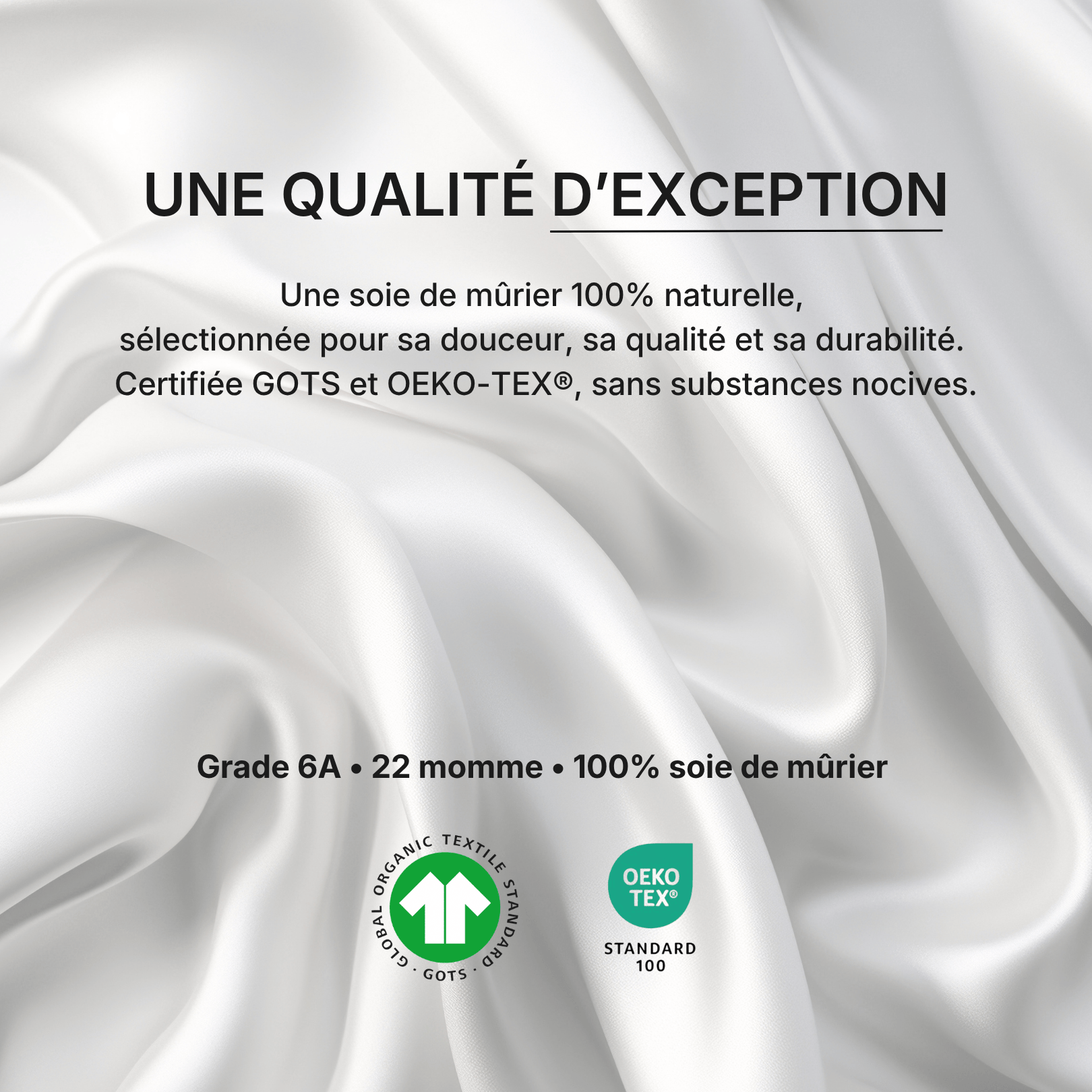 Taie d'oreiller 100% soie de mûrier