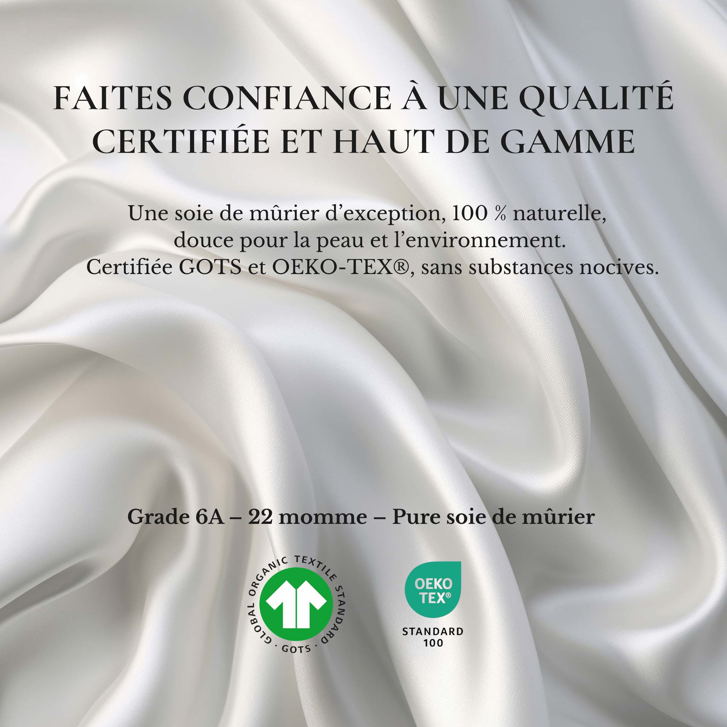 Taie d'oreiller 100% soie de mûrier